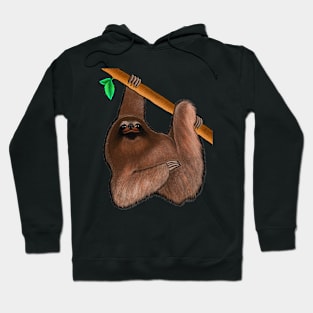 Sloth,sloth lover cute sloth Hoodie